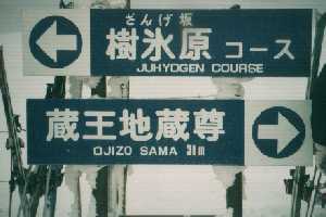 ������������Ȃ�