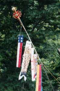 ���������ɒ���