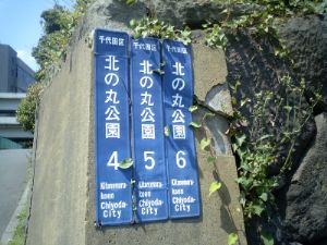 �k�̊ی����S�E�T�E�U