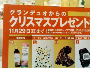 11��29���܂ł̃N���X�}�X�v���[���g