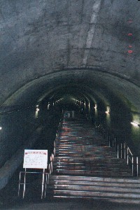 �y���w�̊K�i