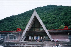 �y���w����