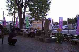 �F�s�{�w�O���L�q���B�L�q�ɑ��������Ă���B