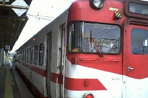 �ԗ֐��ԗ�(�P)