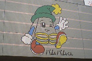 �p���p������