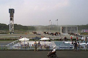 �΂񂦂����n