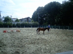 �蕶�J����